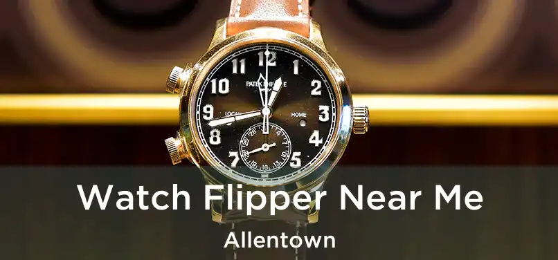 Watch Flipper Near Me Allentown